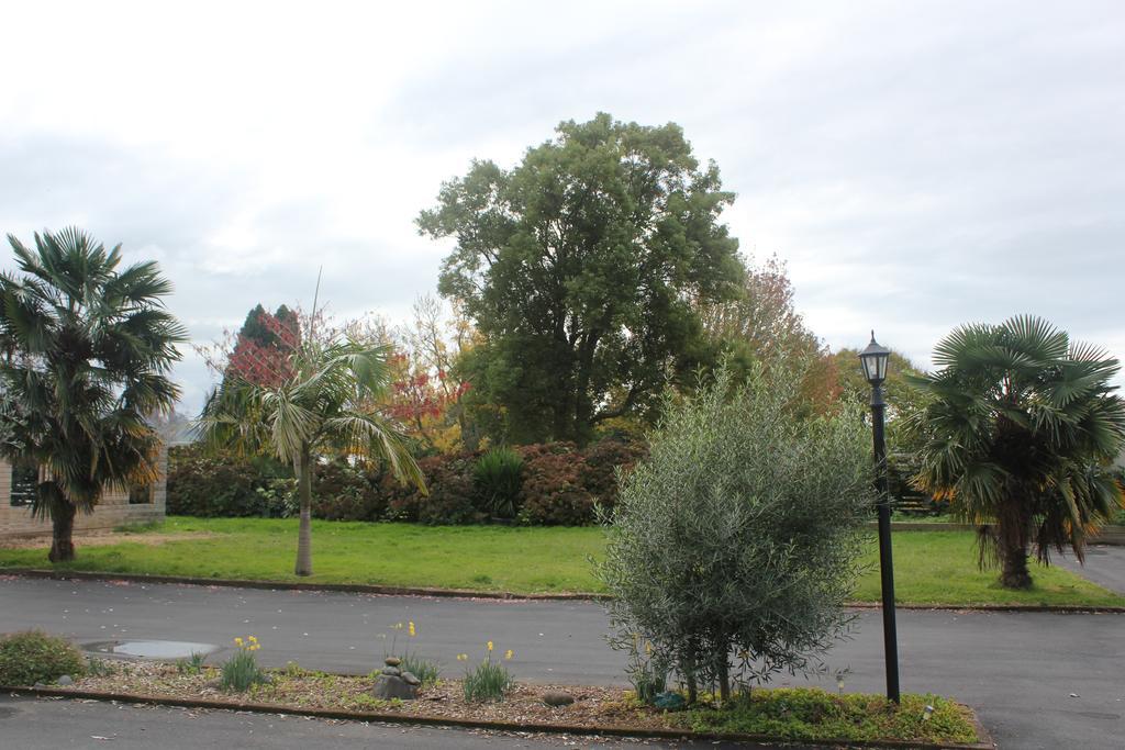 Katikati Motel Bagian luar foto