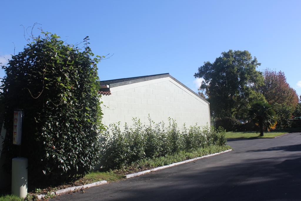 Katikati Motel Bagian luar foto